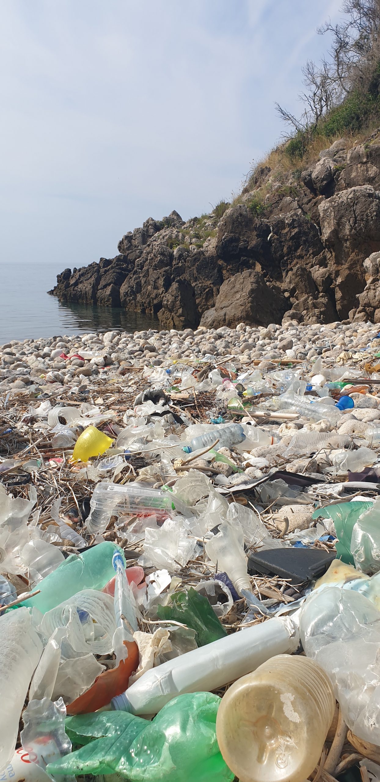 Podizanje svijesti o zagađenju od plastike za jednokratnu upotrebu u Crnoj Gori
