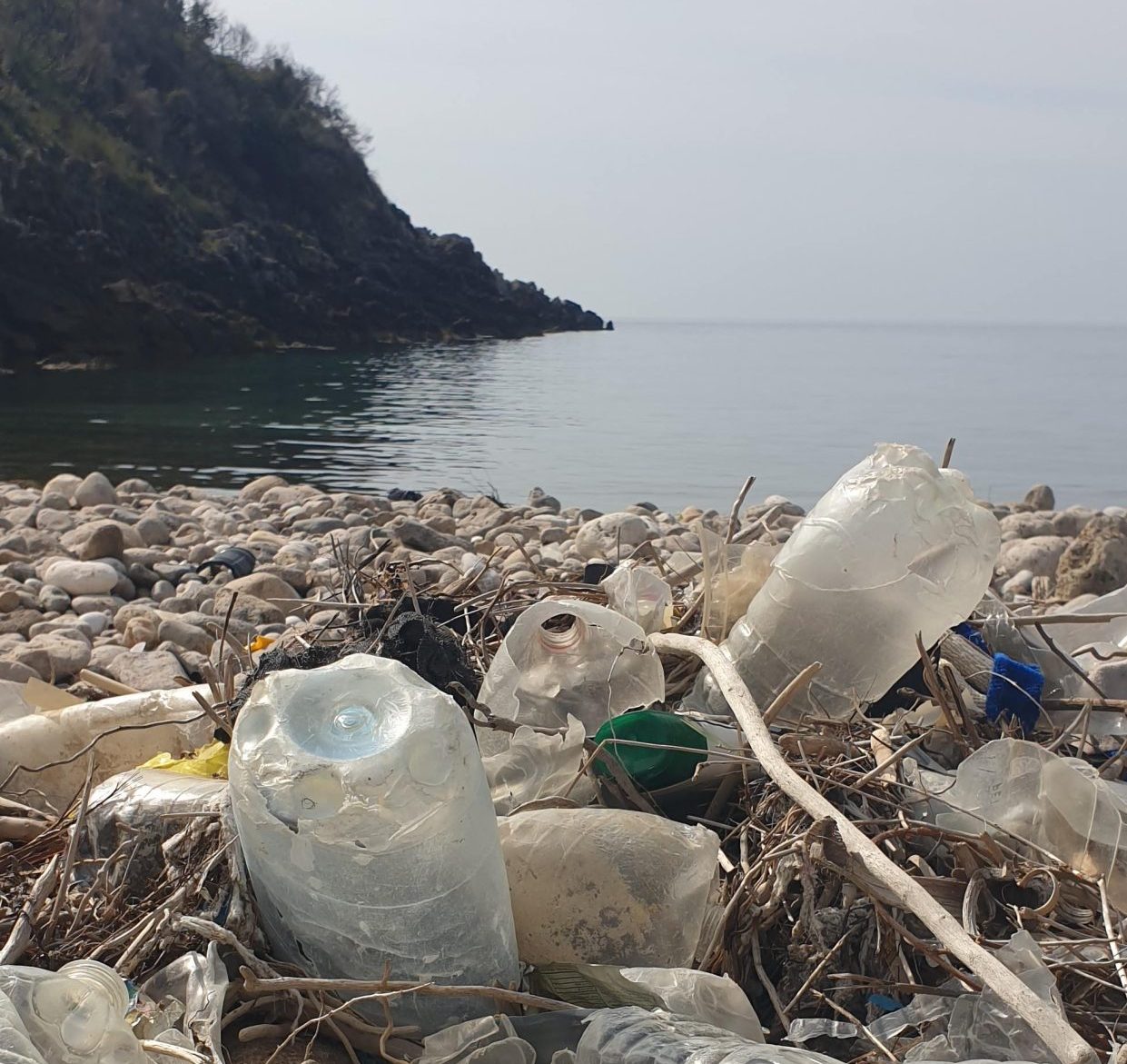 Borba protiv plastike za jednokratnu upotrebu u regionu Jadranskog mora kroz akcije sa javnim i privatnim sektorom