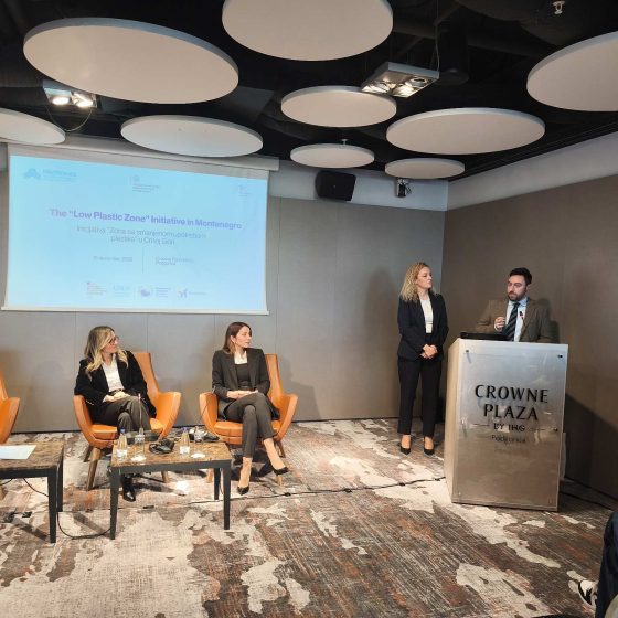 Organizovana nacionalna konferencija Low plastic zone 