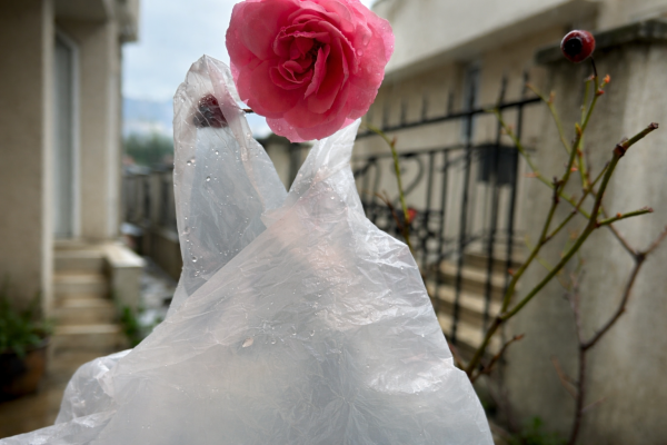 Istina o plastičnim kesama